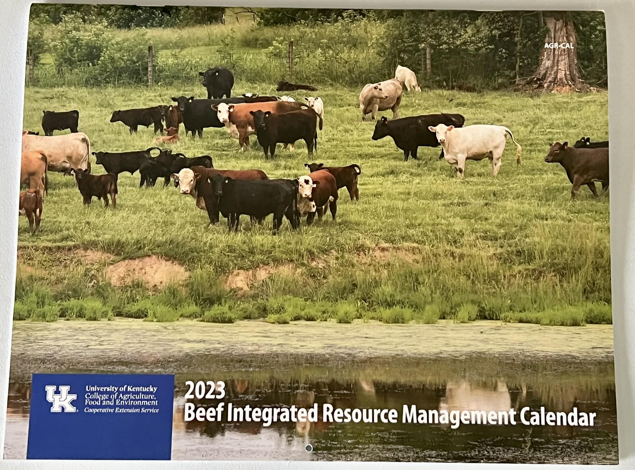 2025 Beef Management Calendar Erica Jacinda
